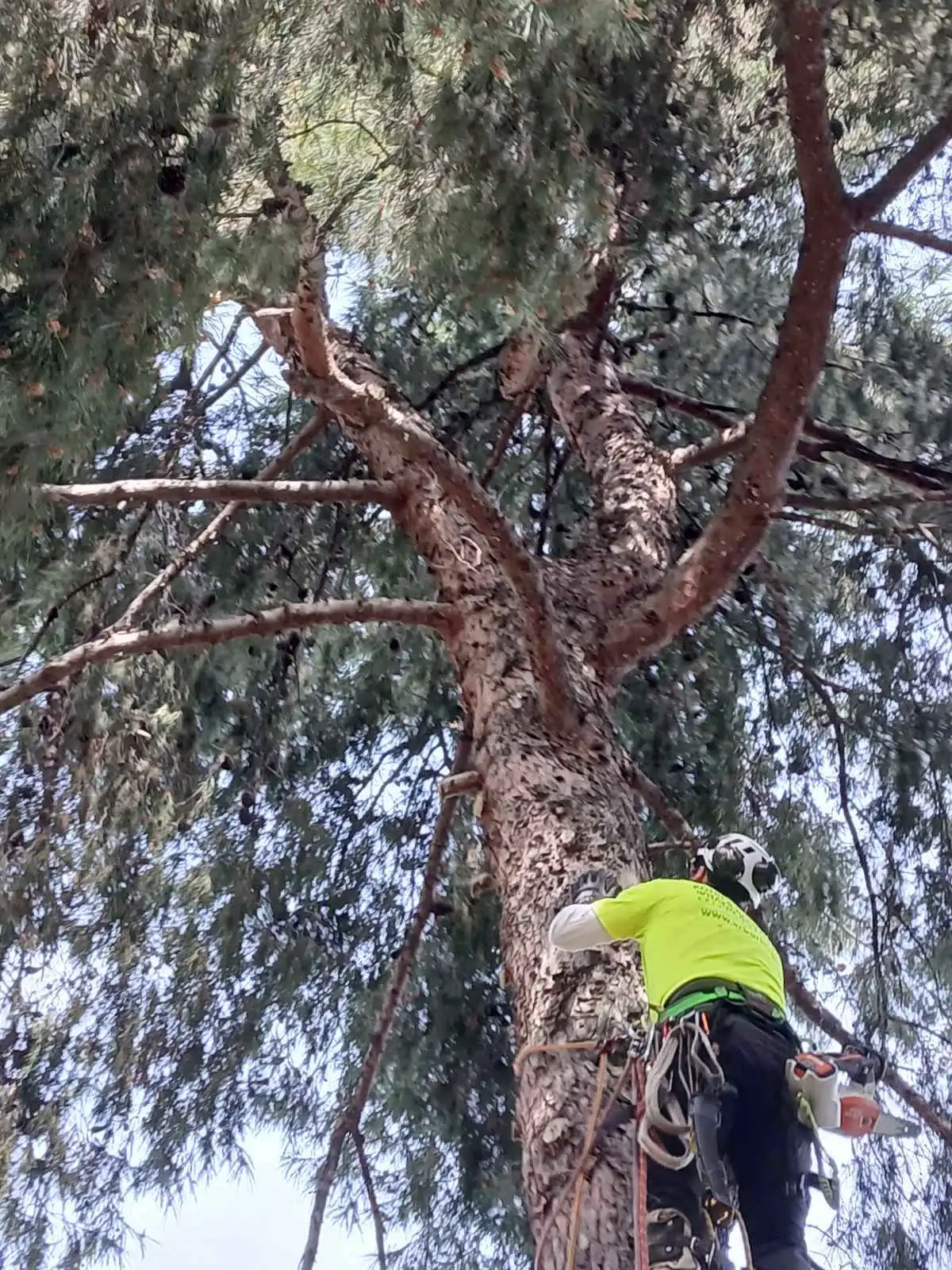 Πυροπροστασία και Καθαρισμός Οικοπέδων: Προστατέψτε την Περιουσία σας