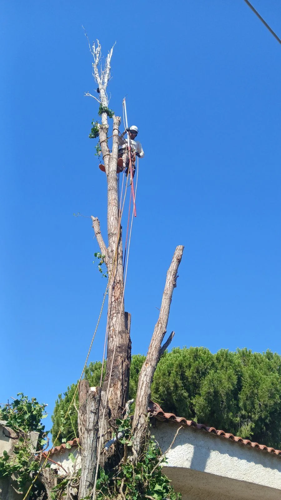 Σύγχρονος Εξοπλισμός και Αθόρυβη Εργασία στον Κήπο σας