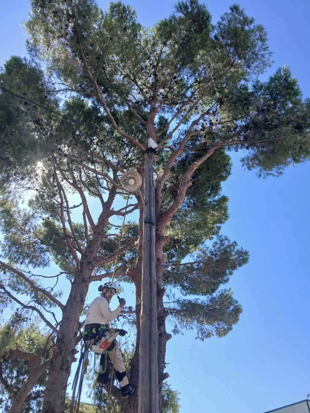 Εργασίες σε Ύψος: Η Εγγύηση ενός Πιστοποιημένου Εναερίτη IRATA